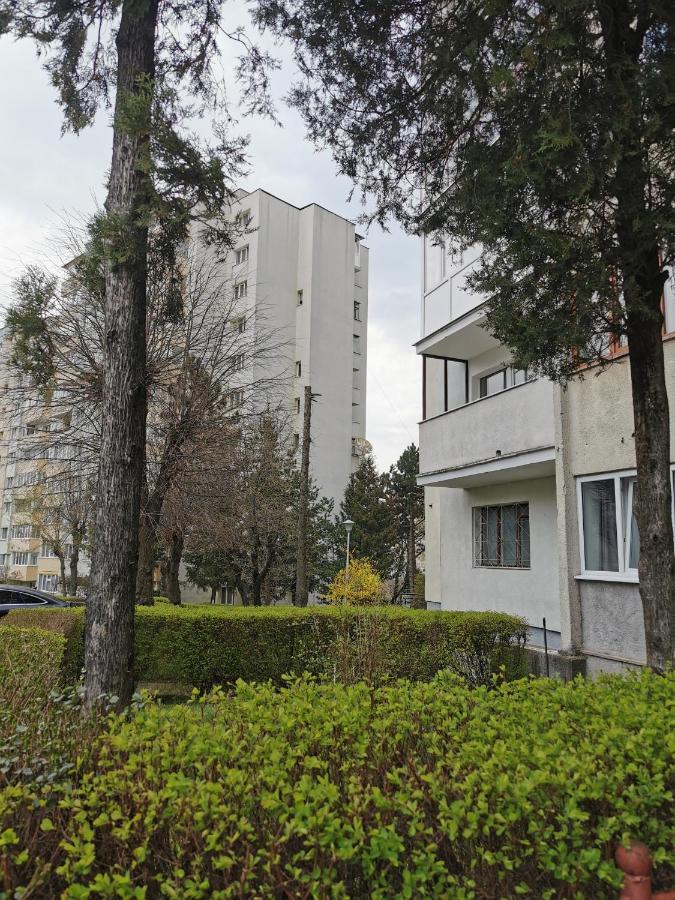 Apartament Maysa Cluj-Napoca Eksteriør bilde