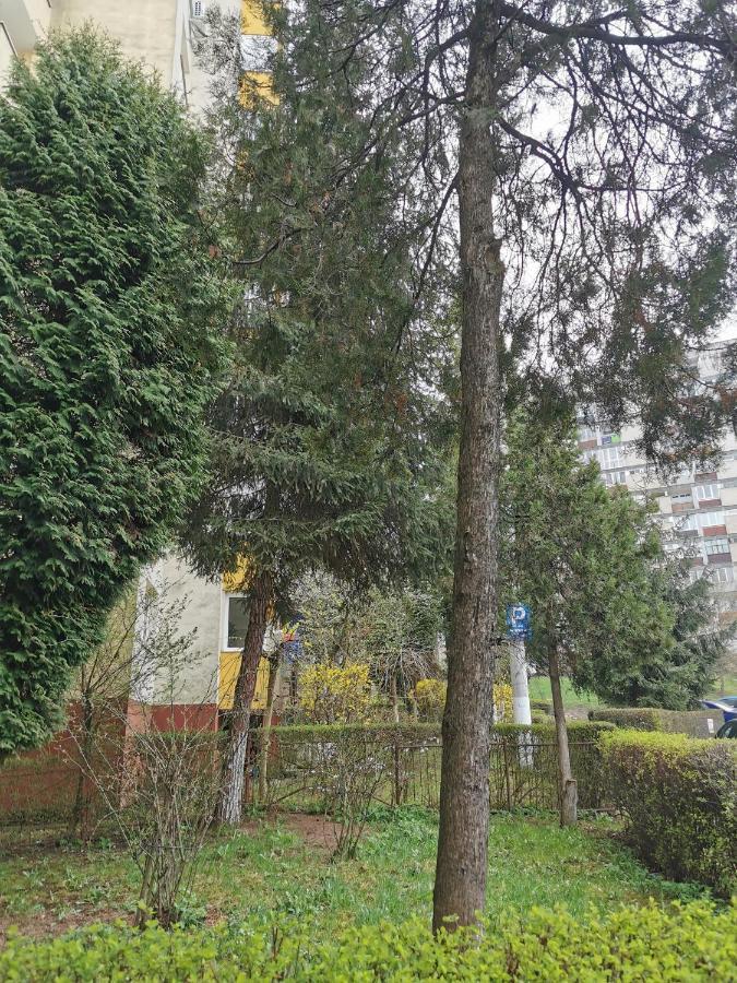 Apartament Maysa Cluj-Napoca Eksteriør bilde